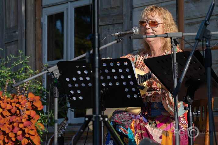 koncerts Lantes muiižā par godu Haraldam Sīmanim 