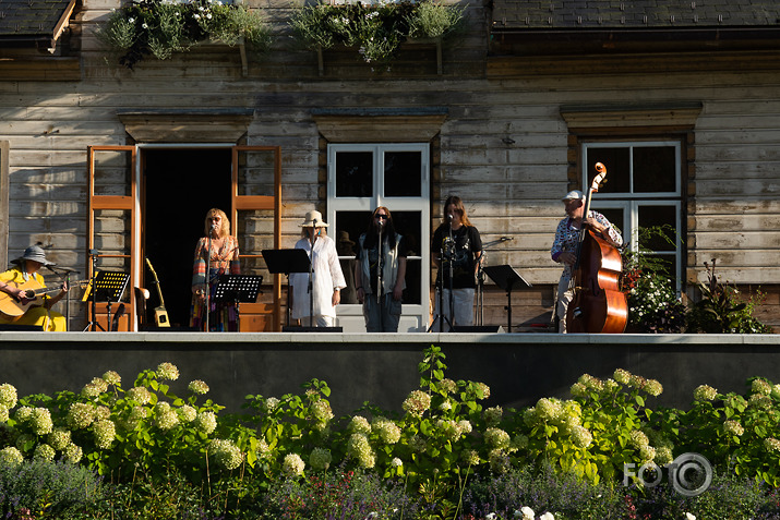 koncerts Lantes muiižā par godu Haraldam Sīmanim 