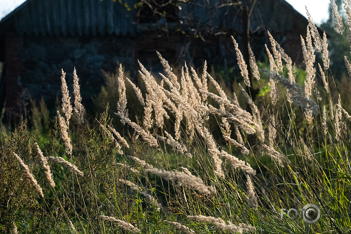 koncerts Lantes muiižā par godu Haraldam Sīmanim 