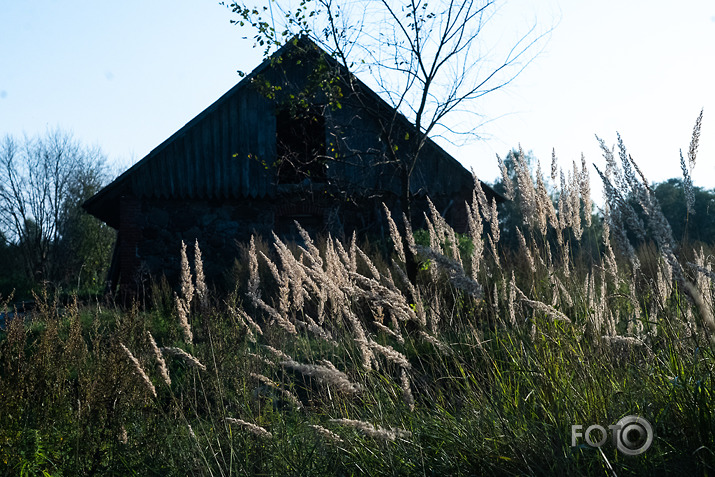 koncerts Lantes muiižā par godu Haraldam Sīmanim 