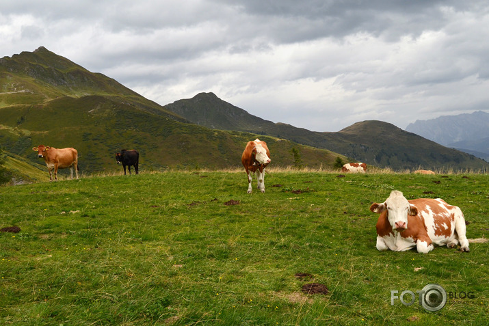 Austrijas Alpi