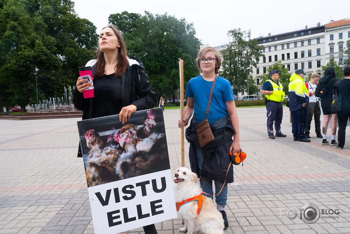 Brīvību vistām!