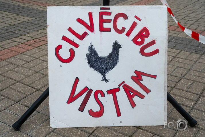 Brīvību vistām!
