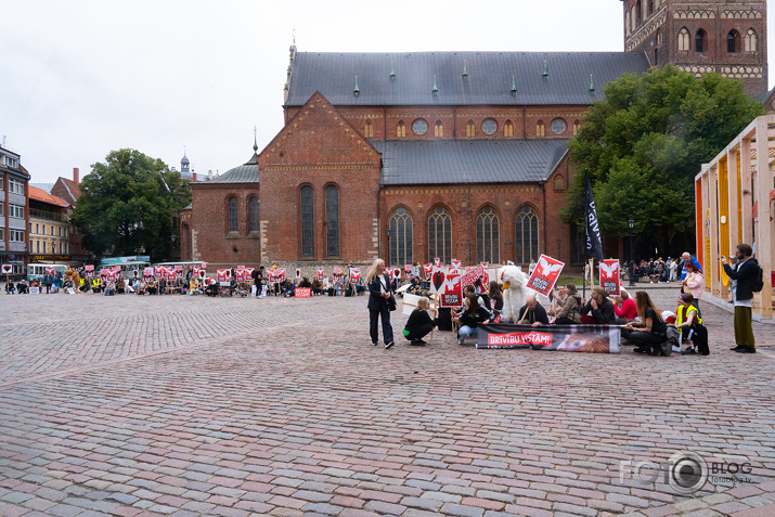 Brīvību vistām!