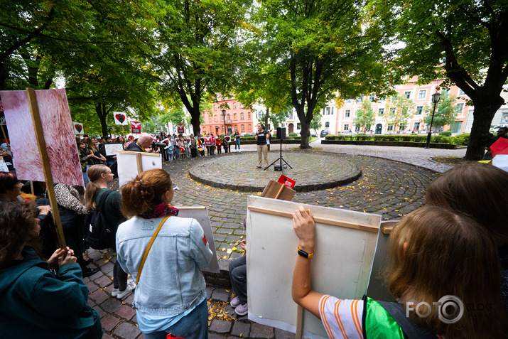 Brīvību vistām!