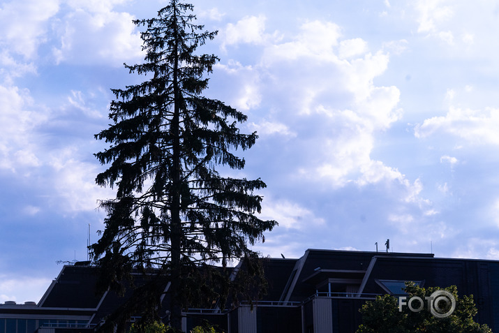 PRE† visu iespējamo brīvību ierobežošanu