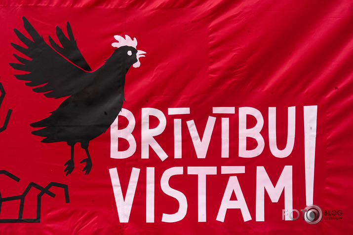 akcija dējējvistu būros abalstam