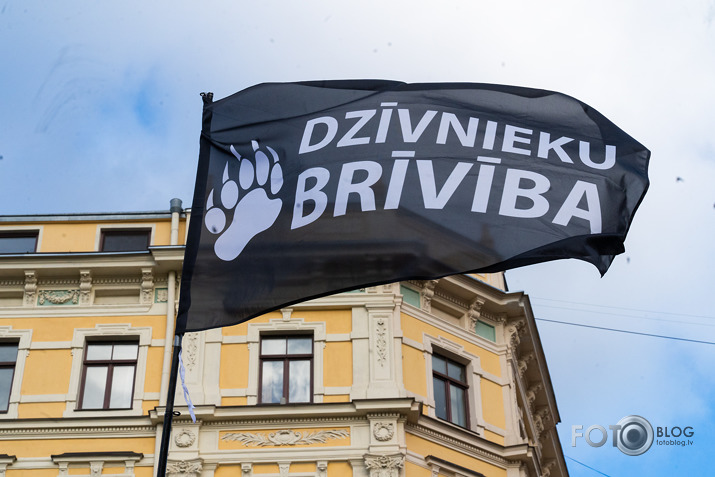 akcija dējējvistu būros abalstam