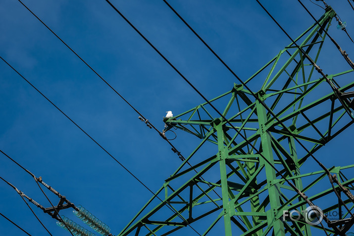 Pastaiga Brīvības ielas garumā