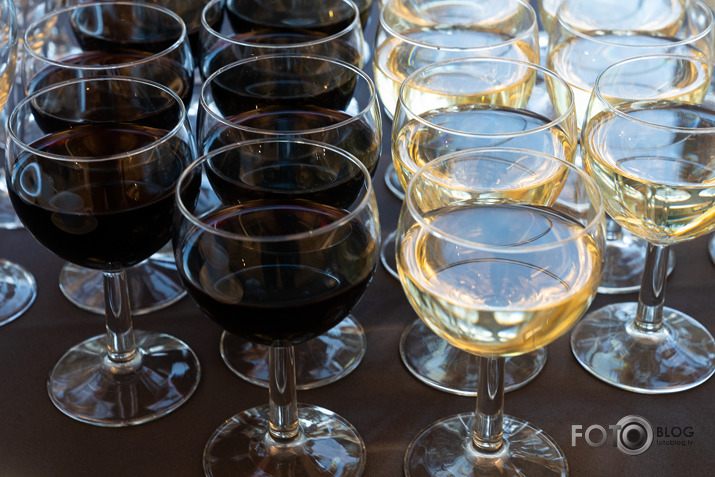 Artūra Dimitera izstāde Rietumu bankas izstāžu zālē