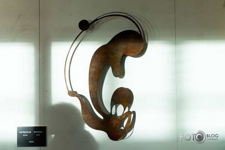 Artūra Dimitera izstāde Rietumu bankas izstāžu zālē