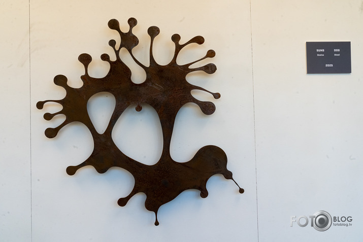 Artūra Dimitera izstāde Rietumu bankas izstāžu zālē