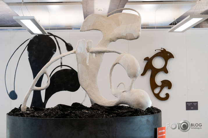 Artūra Dimitera izstāde Rietumu bankas izstāžu zālē