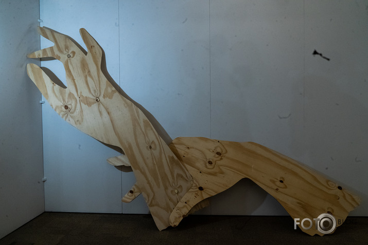 Artūra Dimitera izstāde Rietumu bankas izstāžu zālē