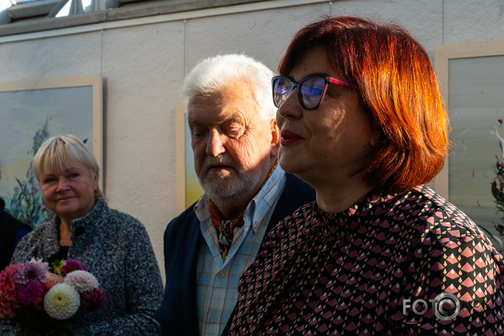 Ilzes Šēnbergas izstāde Jelgavas 1/2-baznīcā