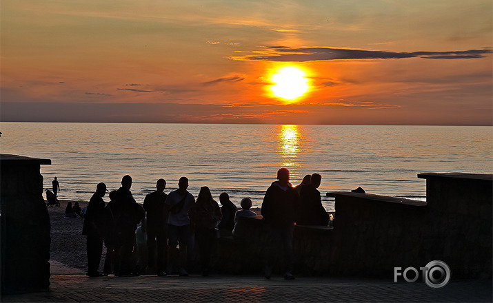 Riets dienišķais 005