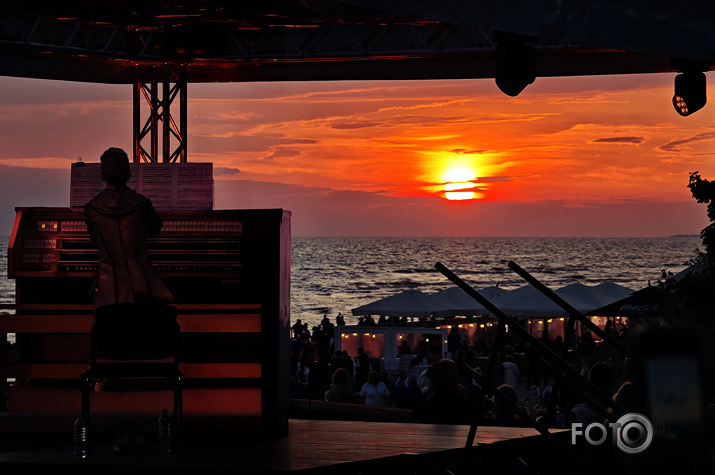 Lēkts dienišķais 010