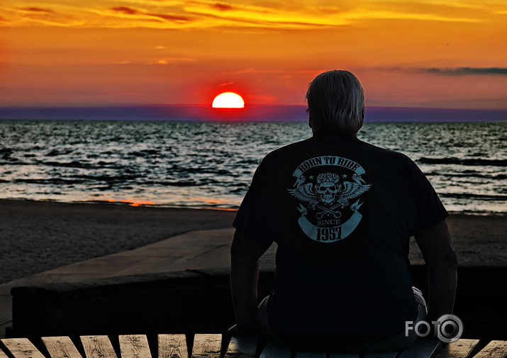 Riets dienišķais 011