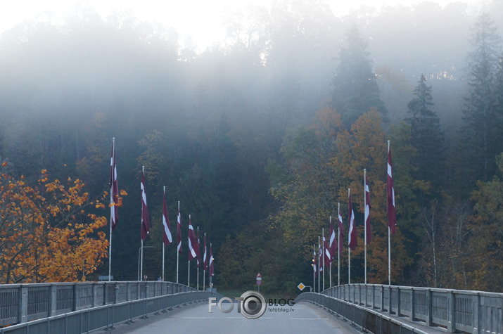 Bridge over the Gauja River. 18.10.2025.