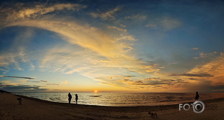 Riets dienišķais 018