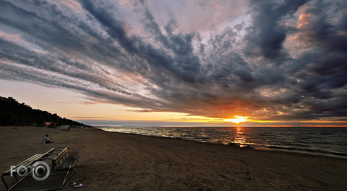 Riets dienišķais 021