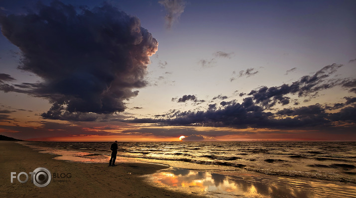 Riets dienišķais 026