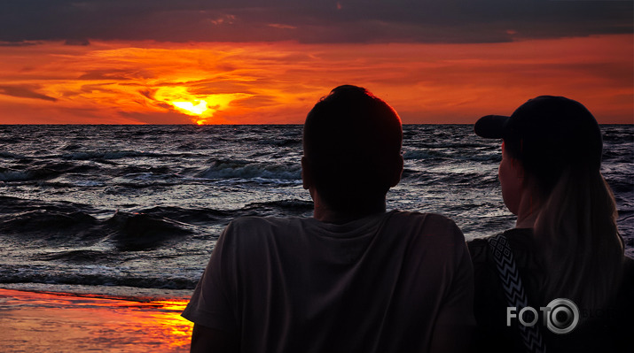 Riets dienišķais 027