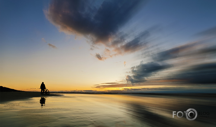 Riets dienišķais 031