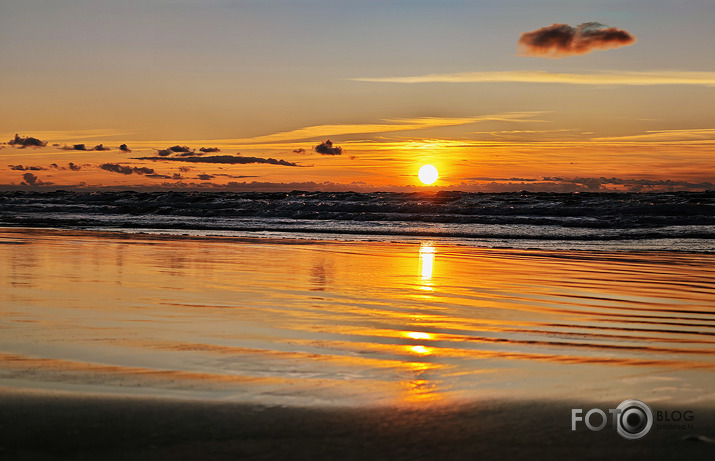 Riets dienišķais 032