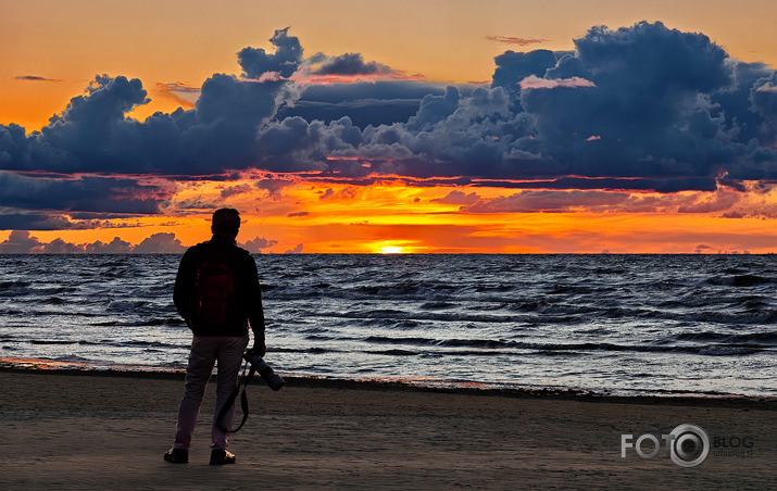 Riets dienišķais 034