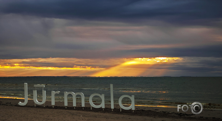 Riets dienišķais 035