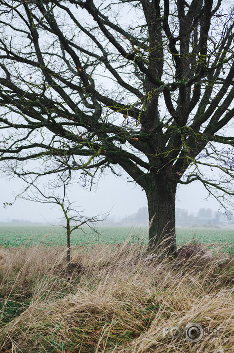 Pārgājiens Reņģē