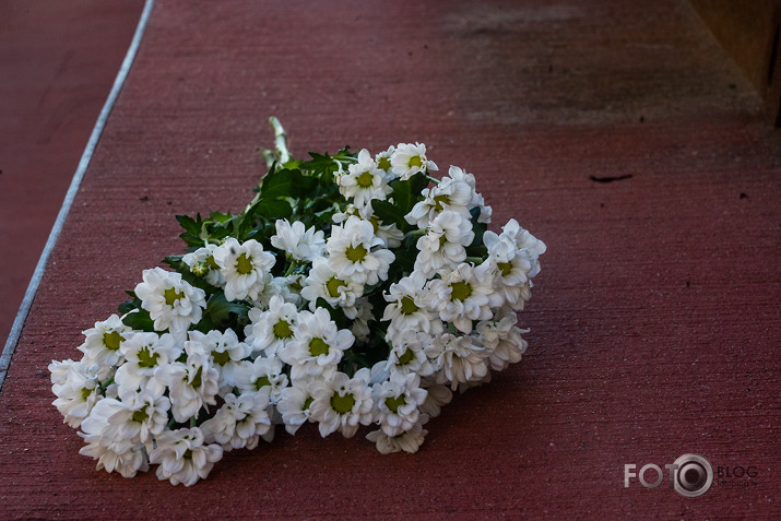 pretošanās kustības rašanās lāģerī gadadienas atzīmēšana pie Taktiļa