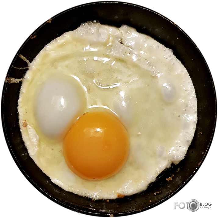 Saule pelēkā dienā