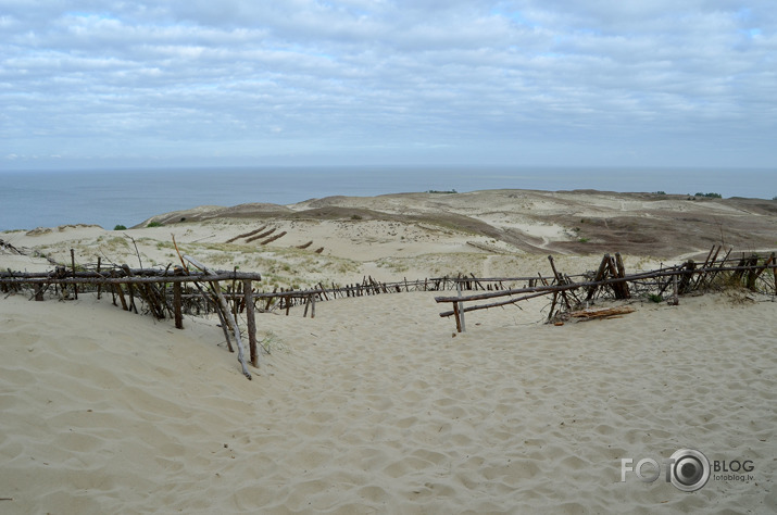 Neringa
